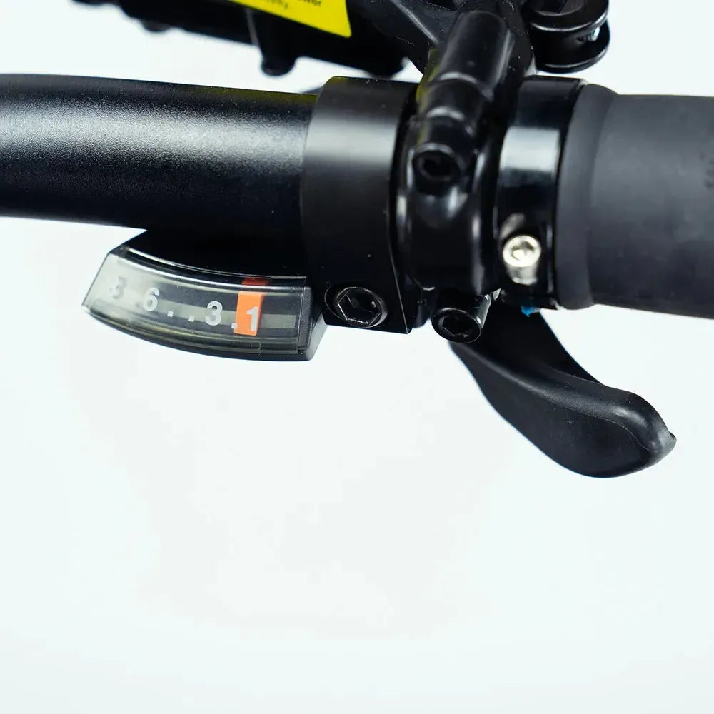 Engwe Engine Pro 2.0 - Bicicletta elettrica pieghevole - Nero