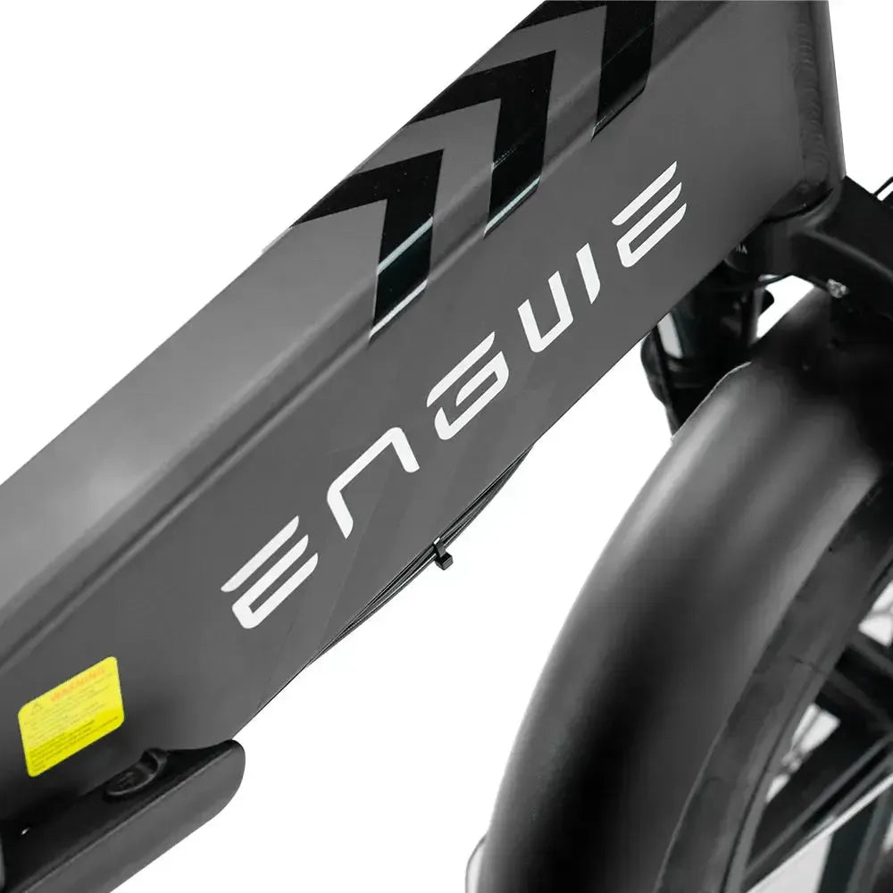 Engwe Engine Pro 2.0 - Bicicletta elettrica pieghevole - Nero