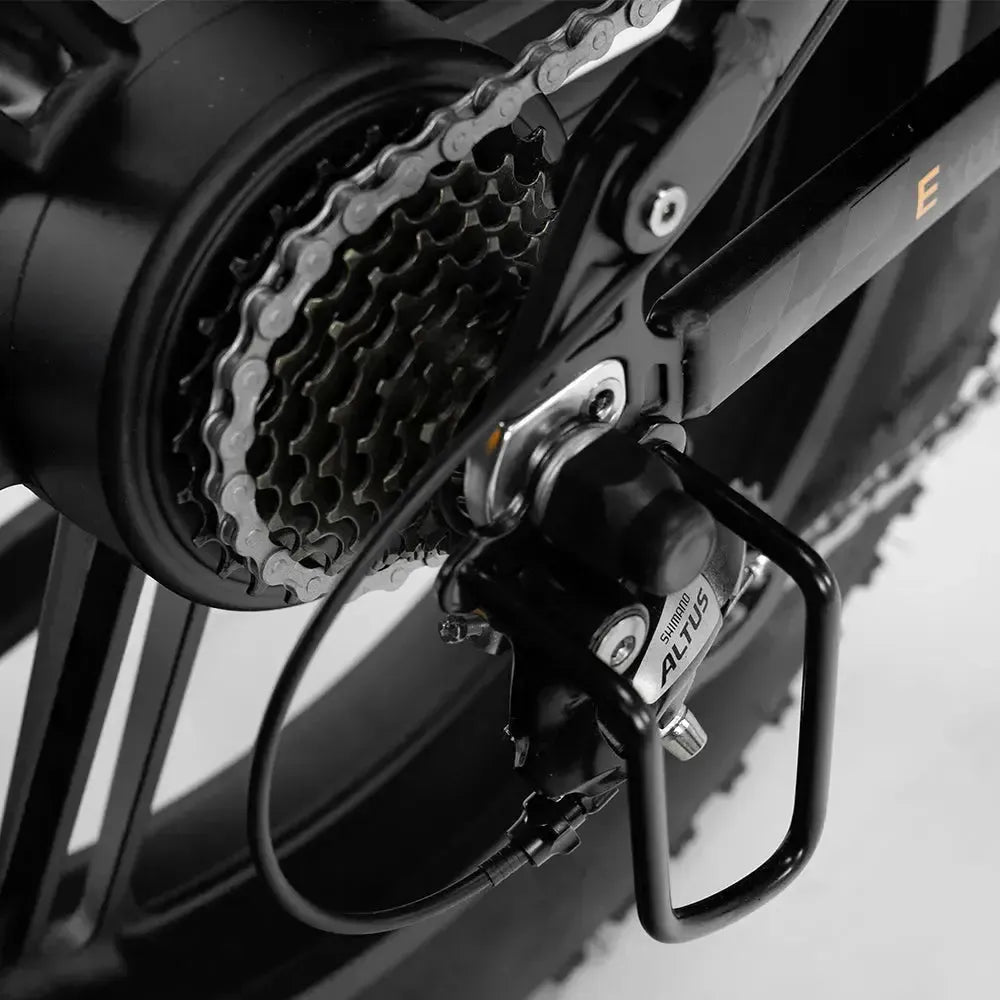 Engwe Engine Pro 2.0 - Bicicletta elettrica pieghevole - Nero