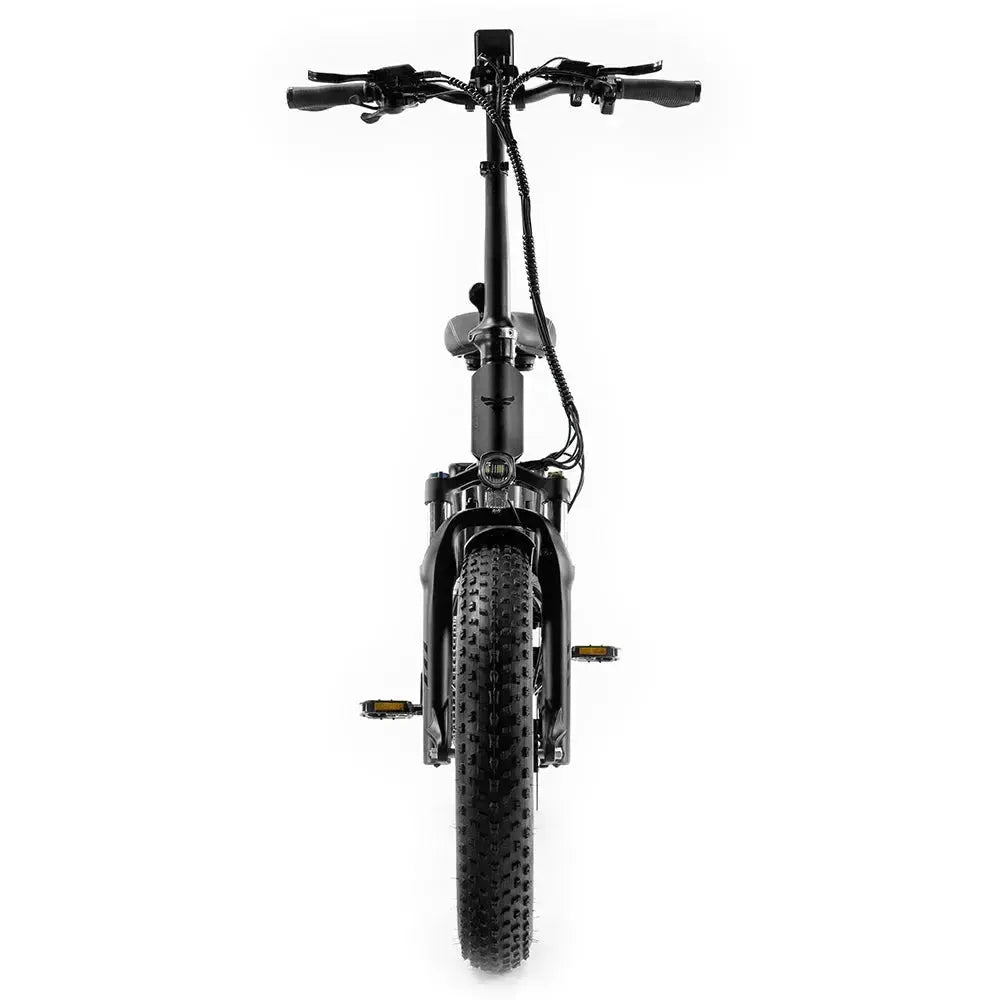 Engwe Engine Pro 2.0 - Bicicletta elettrica pieghevole - Nero