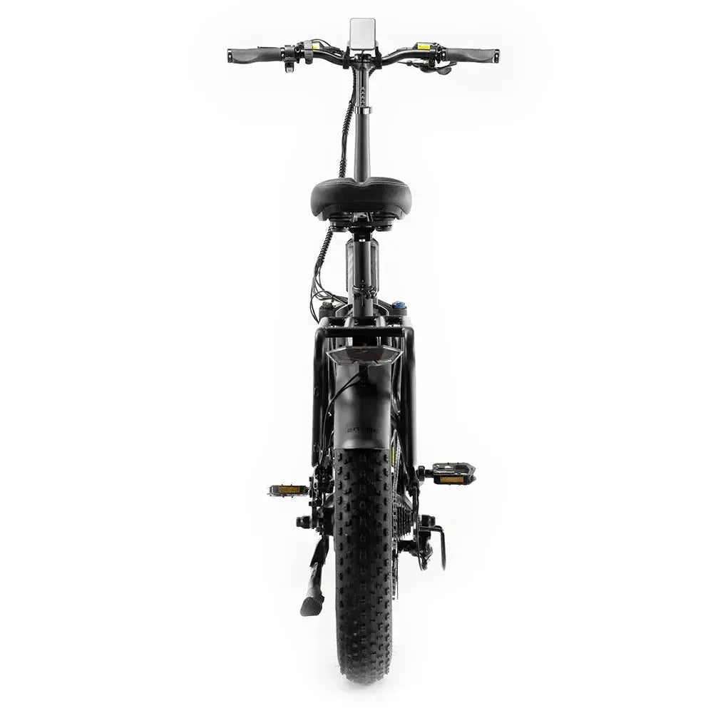Engwe Engine Pro 2.0 - Bicicletta elettrica pieghevole - Nero