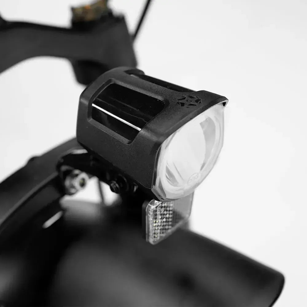 Engwe Engine Pro 2.0 - Bicicletta elettrica pieghevole - Nero