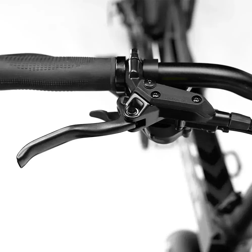 Engwe Engine Pro 2.0 - Bicicletta elettrica pieghevole - Nero