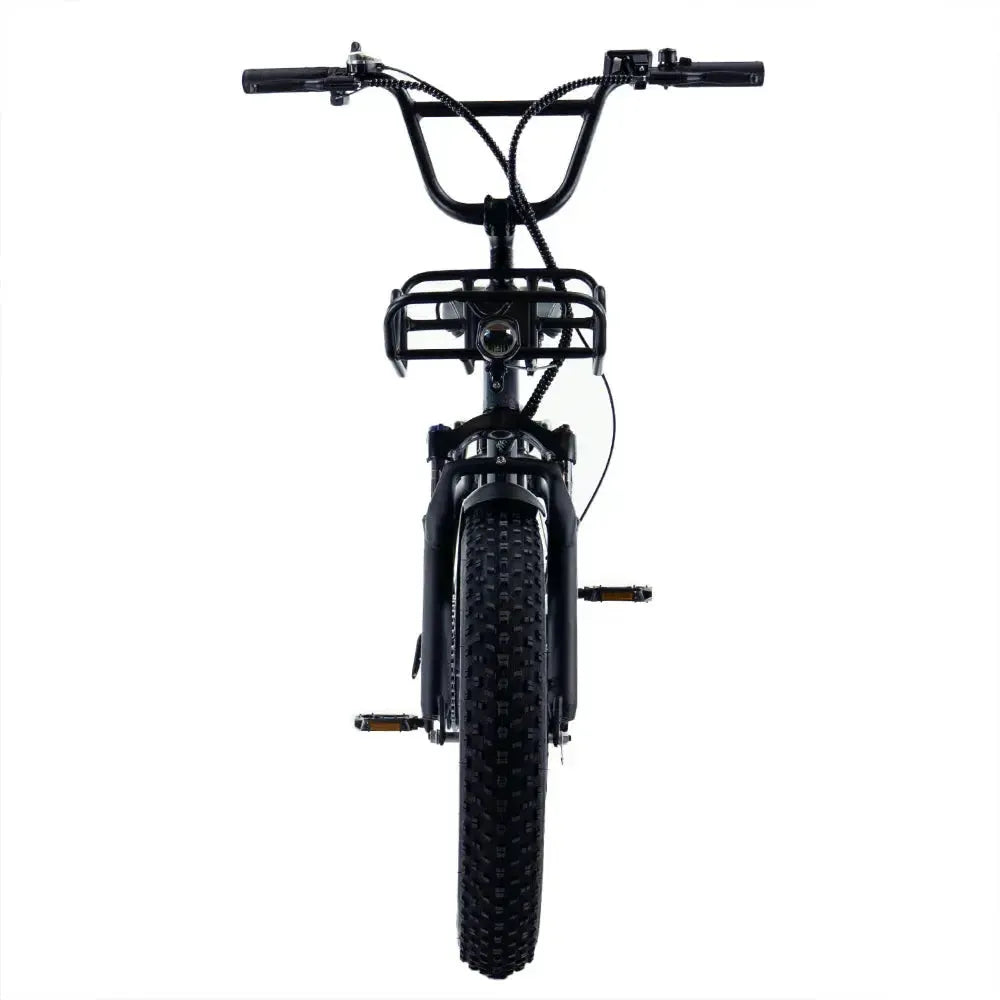 Engwe L20 - Fatbike - Nero