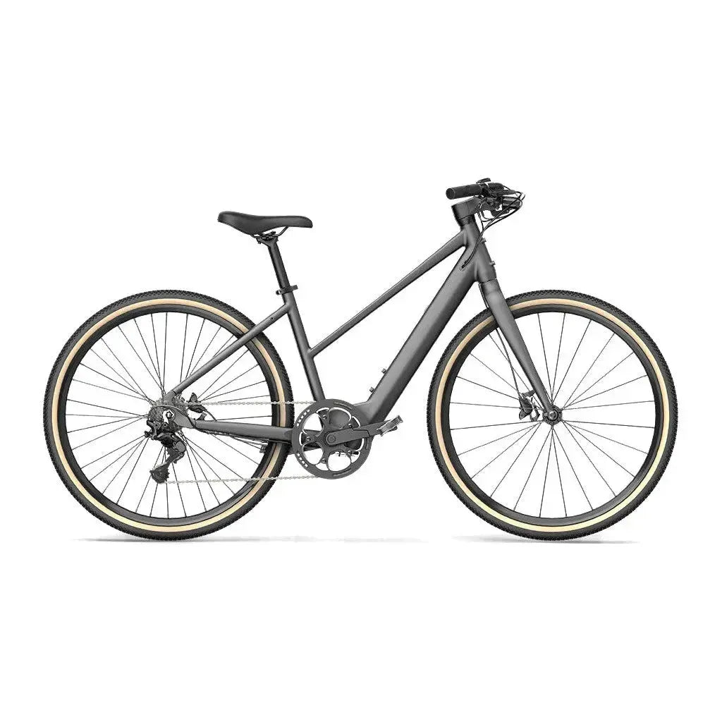 Fiido C22 - Grigio
