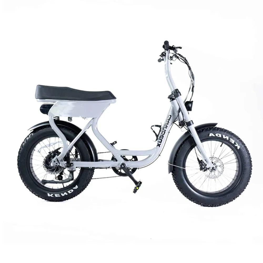 Grandeux - Fatbike - Xcite - Grigio