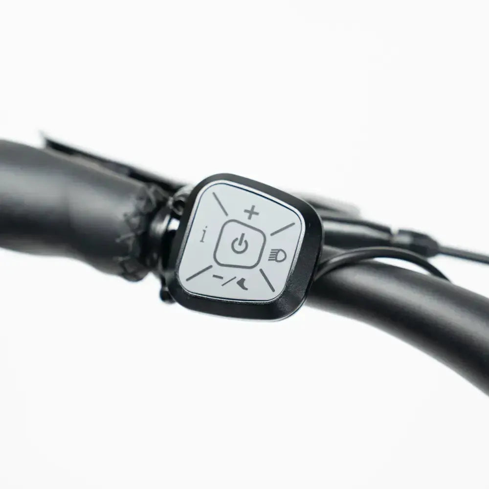 JOBOBIKE Romer Pro - Grigio