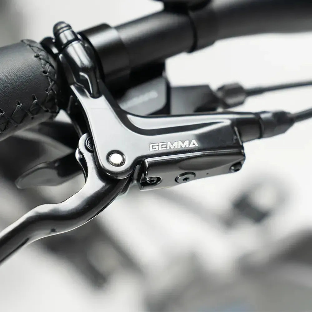 JOBOBIKE Romer Pro - Grigio