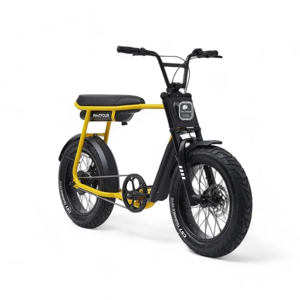 Phatfour FLX - Bicicletta grassa - Verde