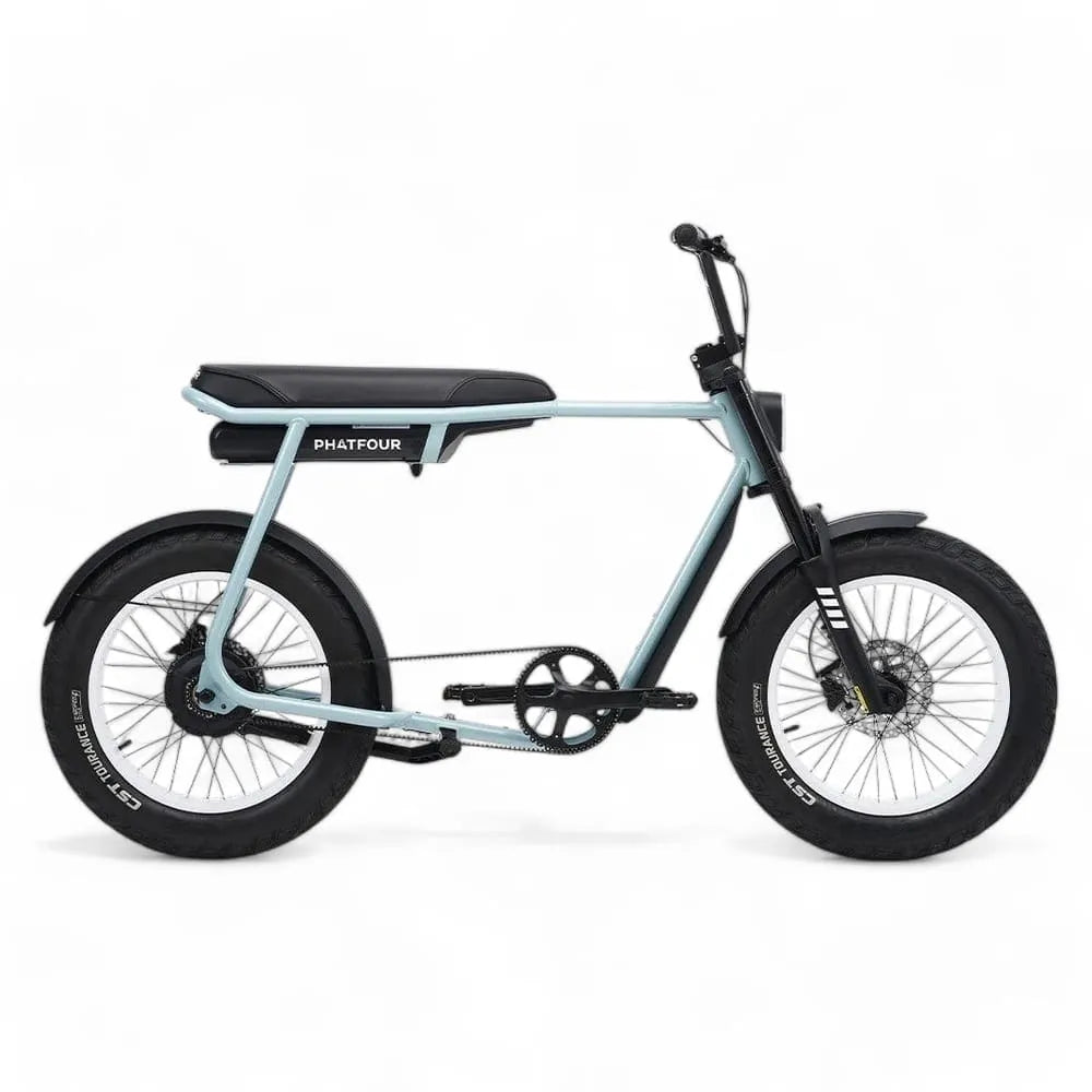 Phatfour FLX+ - Bicicletta grassa - Grigio