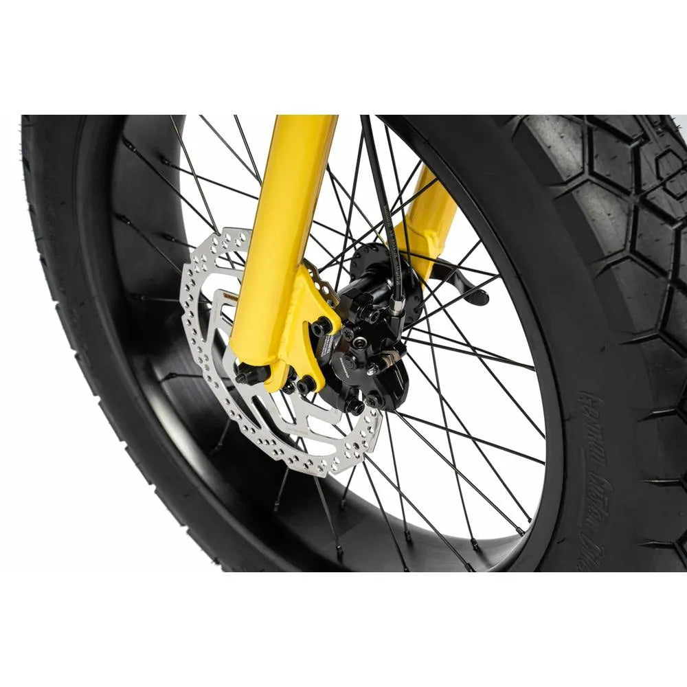 Ruff Cycles - Lil'Missy - Bicicletta Grassa - Baby B