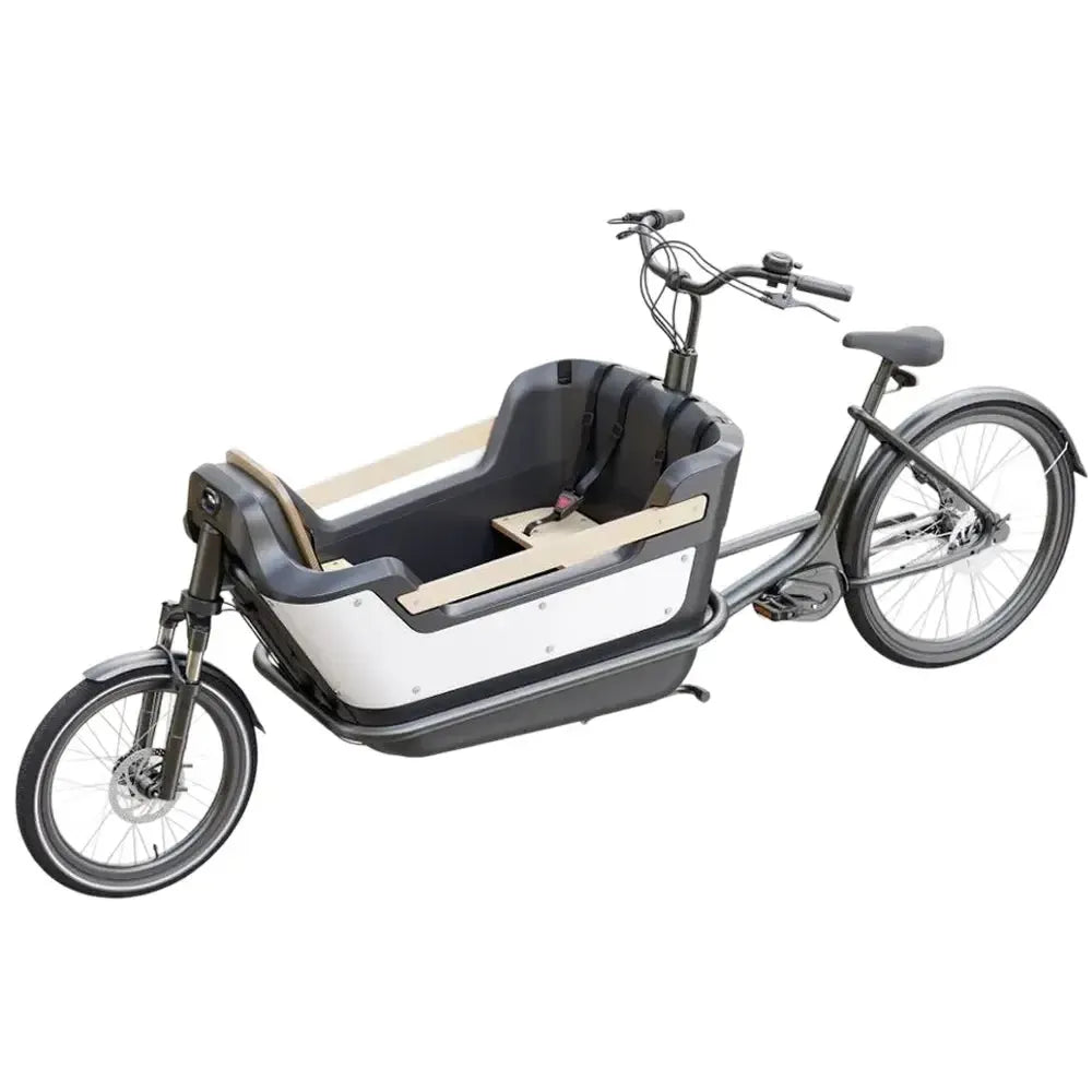 Royal Cargo Bike 2W Premium - Verde