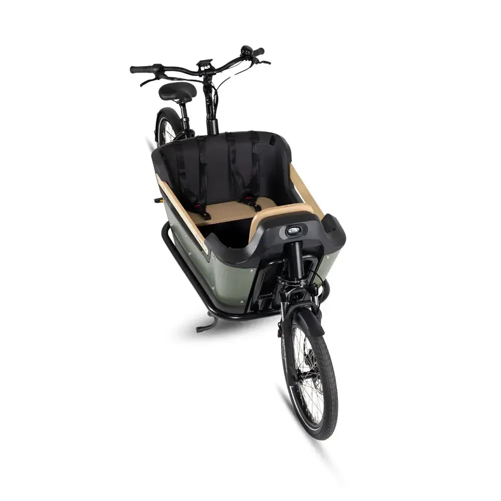 Royal Cargo Bike 2W Premium Plus - Verde
