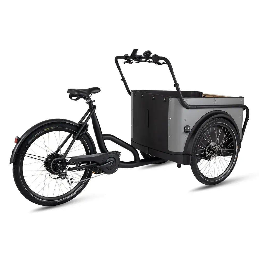 Royal Cargo Bike 3W Eco - Grigio
