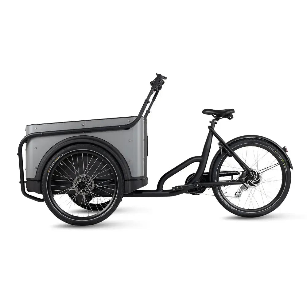 Royal Cargo Bike 3W Eco - Grigio