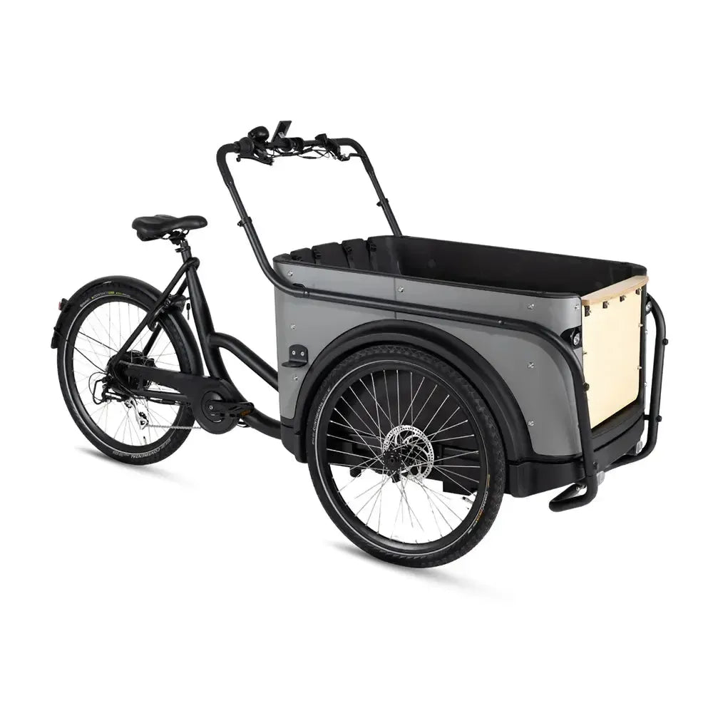 Royal Cargo Bike 3W Eco - Grigio
