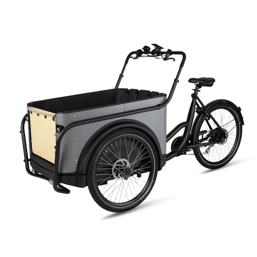 Royal Cargo Bike 3W Eco - Grigio