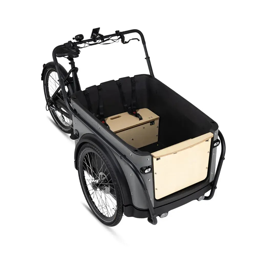 Royal Cargo Bike 3W Eco - Grigio