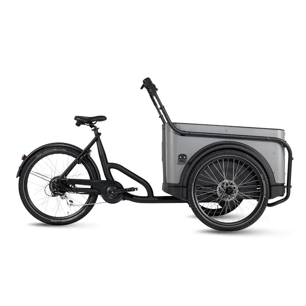 Royal Cargo Bike 3W Eco - Grigio