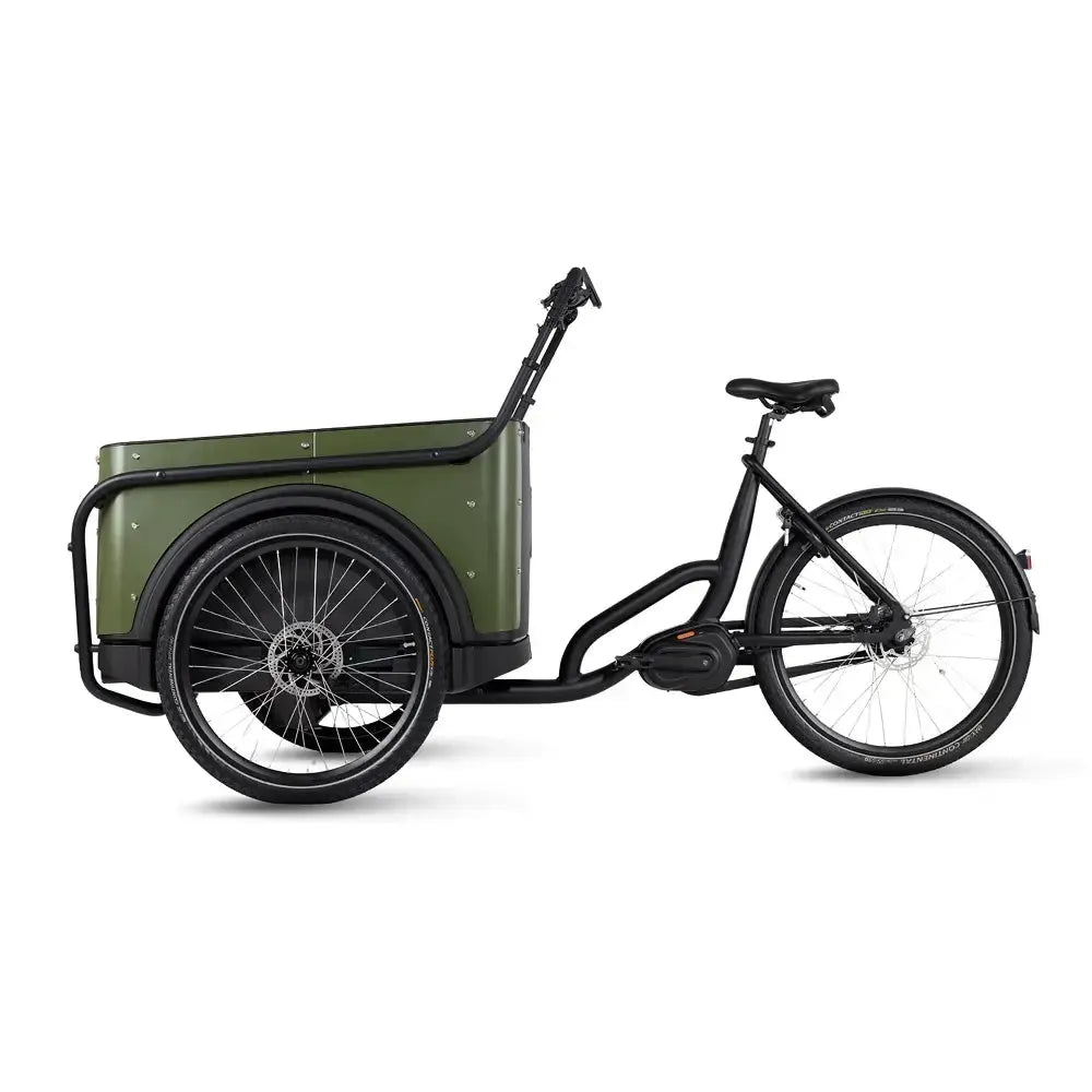 Royal Cargo Bike 3W Premium - Verde