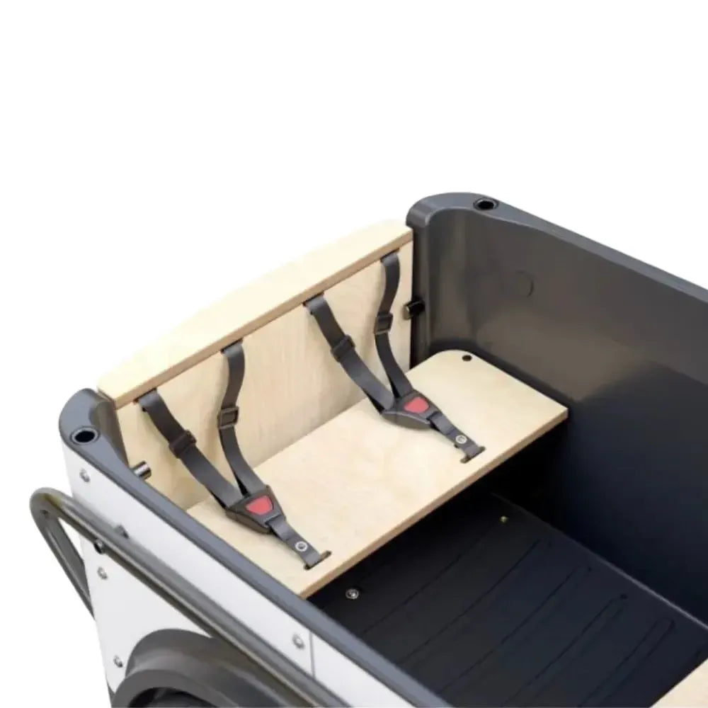 Royal Cargo Bike 3W Premium - Verde
