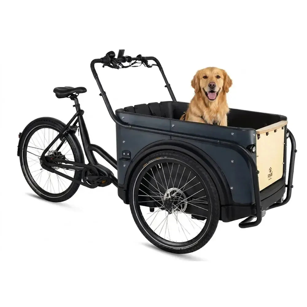 Royal Cargo Bike 3W Premium Plus - Antracite