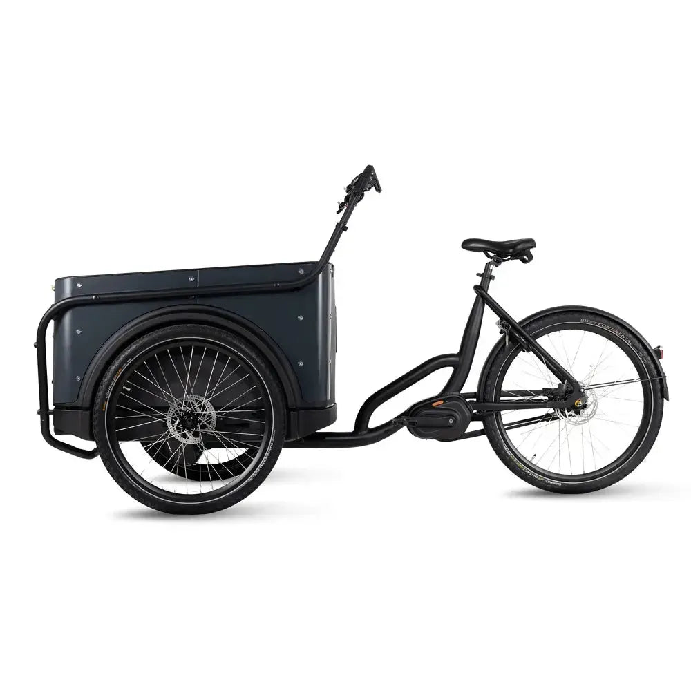 Royal Cargo Bike 3W Premium Plus - Antracite