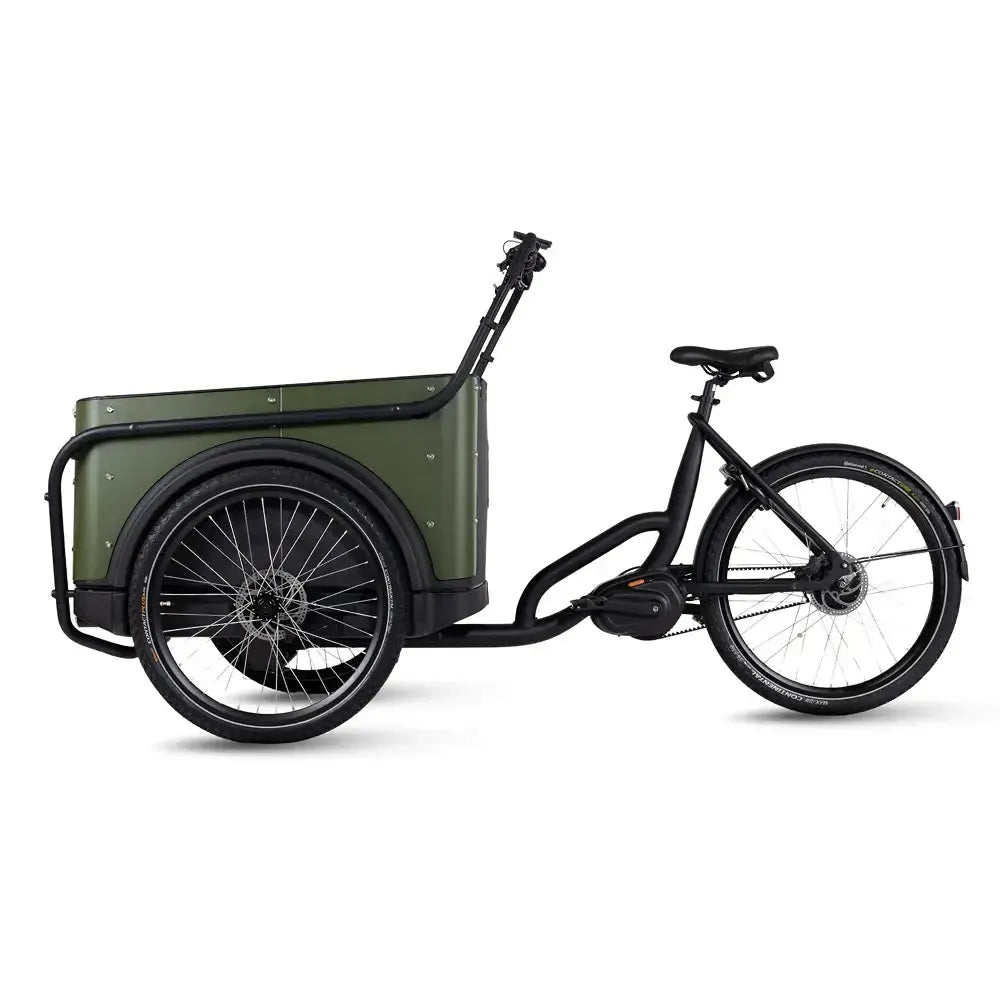 Royal Cargo Bike 3W Premium Plus - Verde