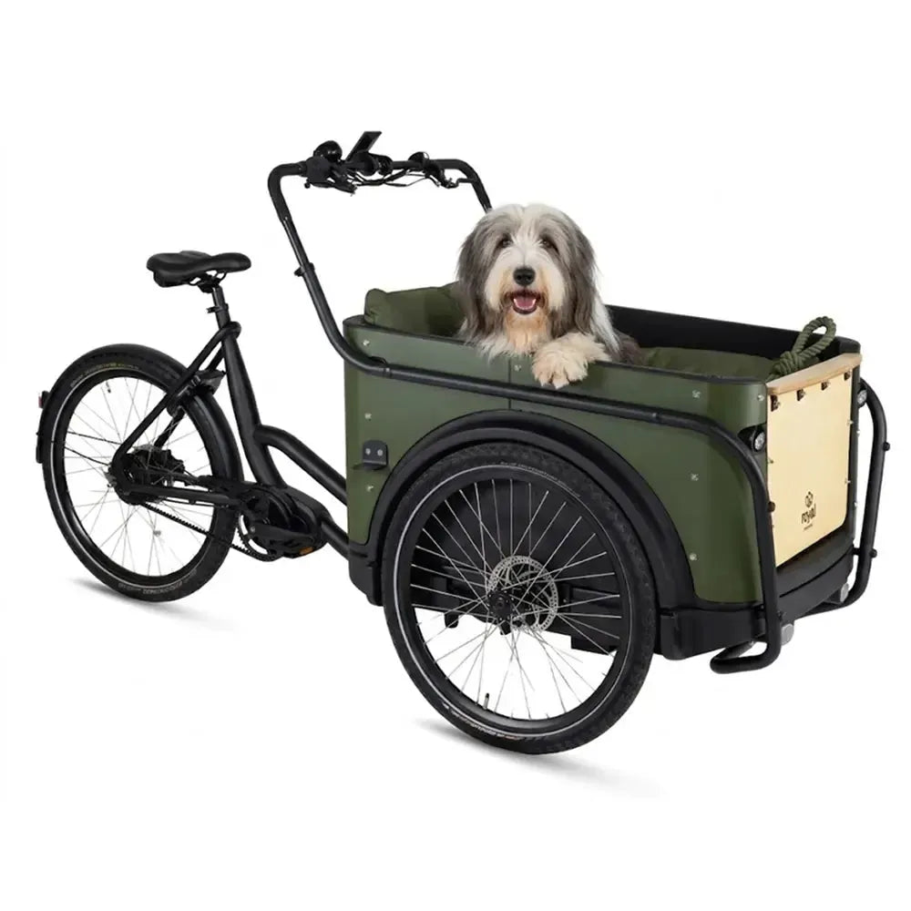 Royal Cargo Bike 3W Premium Plus - Verde