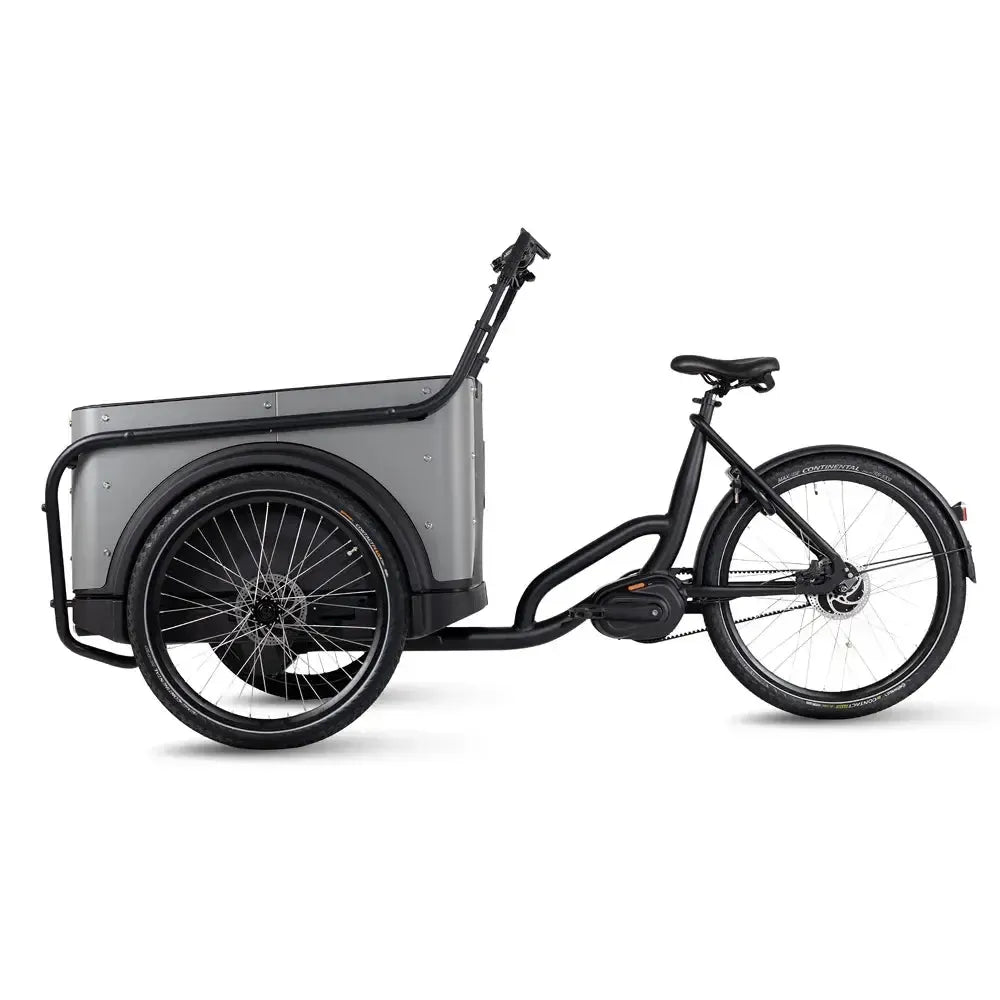 Royal Cargo Bike 3W Premium Plus - Taupe grigio