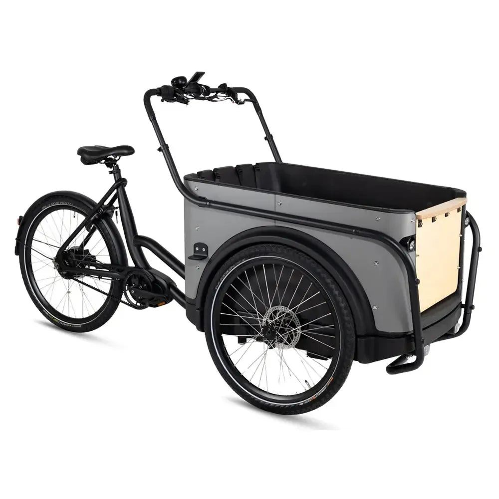 Royal Cargo Bike 3W Premium Plus - Taupe grigio