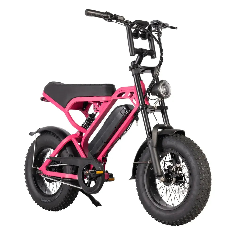 V20 Mini - Rosa - Fatbike