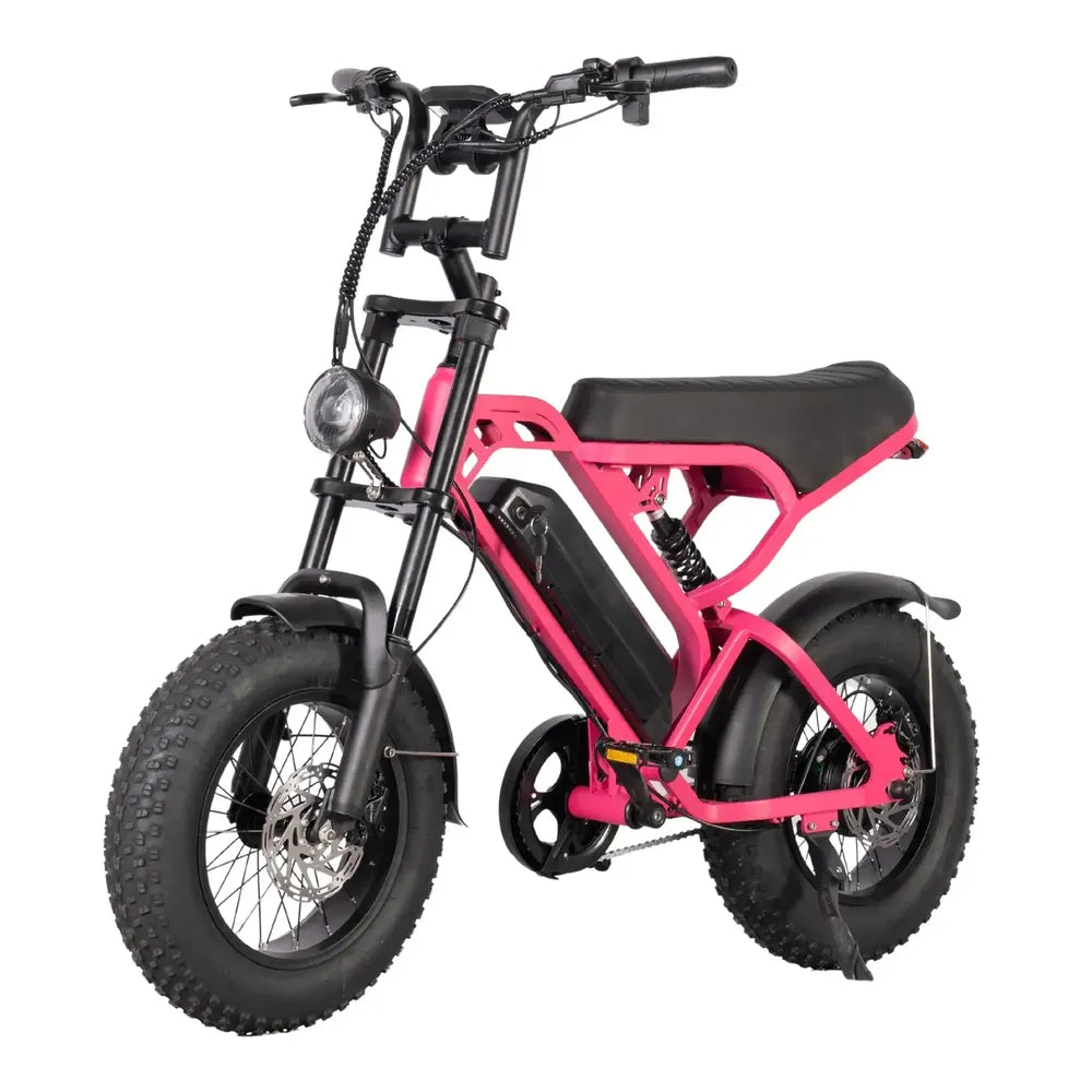 V20 Mini - Rosa - Fatbike