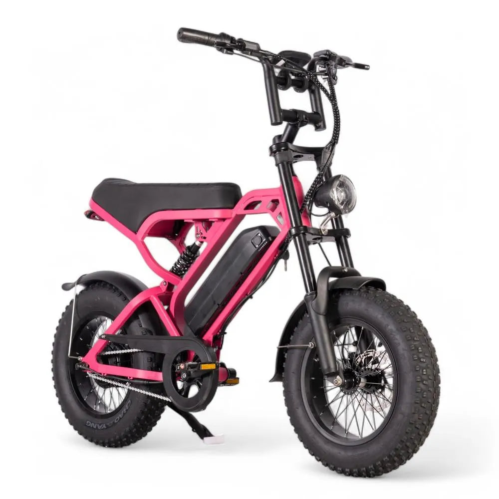 V20 Mini - Rosa - Fatbike