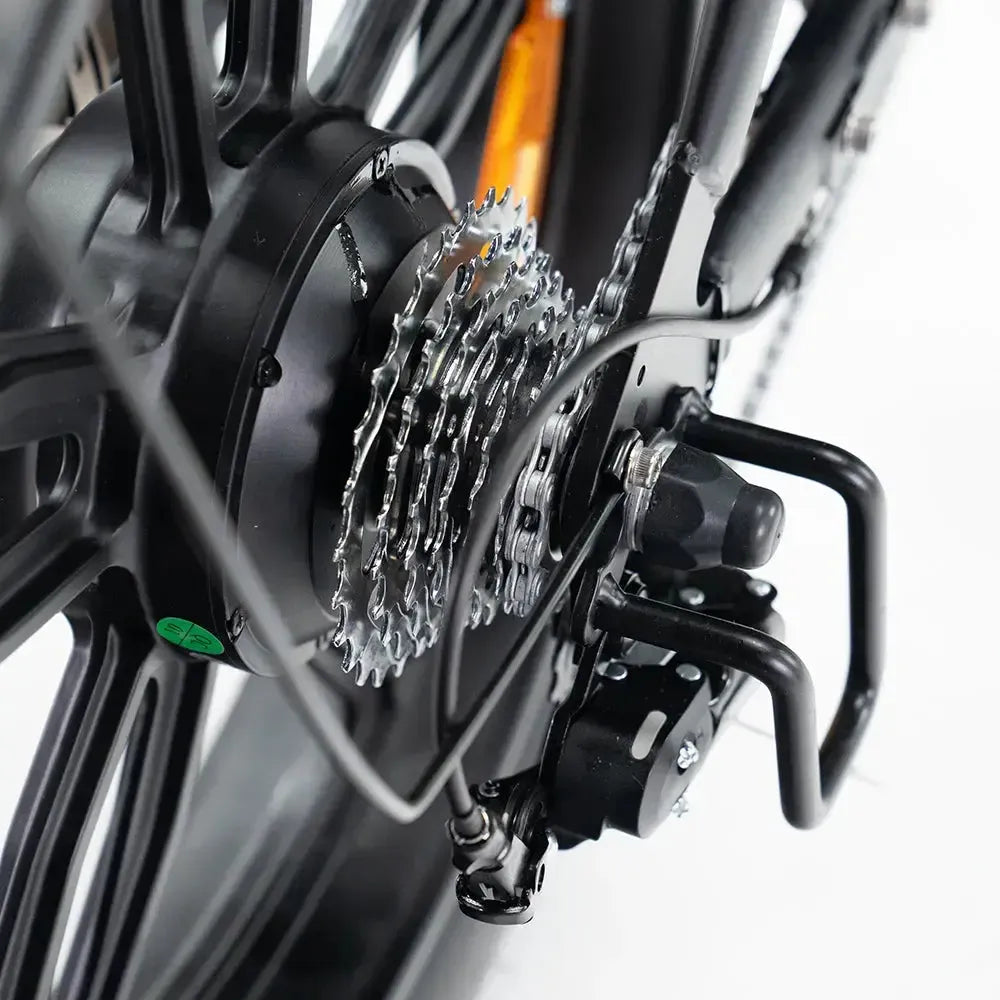 V20 Pro 5.0 Grigio - Fatbike - Freni idraulici