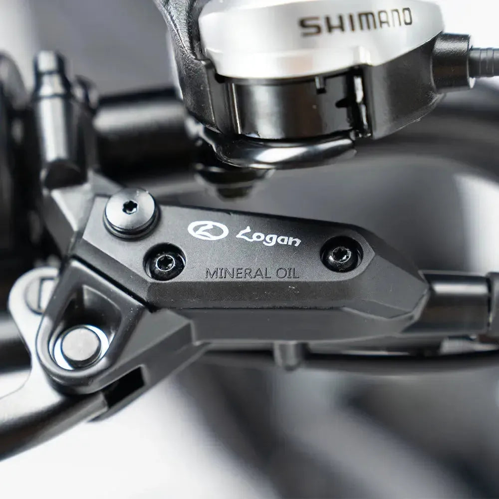 V20 Pro 5.0 Grigio - Fatbike - Freni idraulici