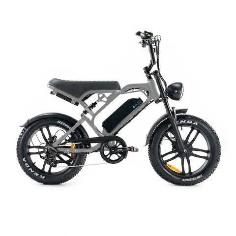 V20 Pro 5.0 Grigio - Fatbike - Freni idraulici