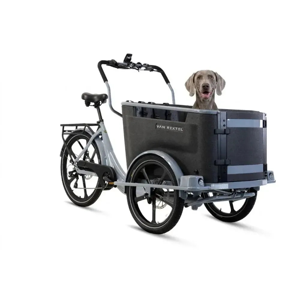 Van Rixtel Dog - Grigio Nardo