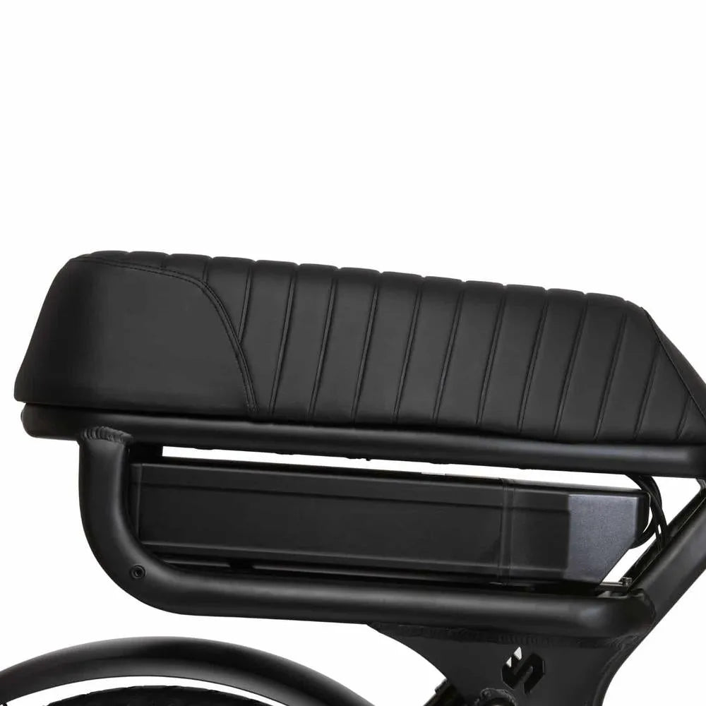 Stoer Bikes S1+ - Bicicletta grassa - Nero