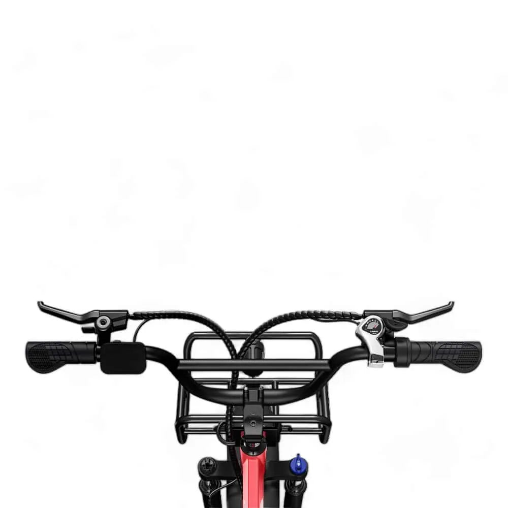 Engwe L20 - Bicicletta grassa - Nero